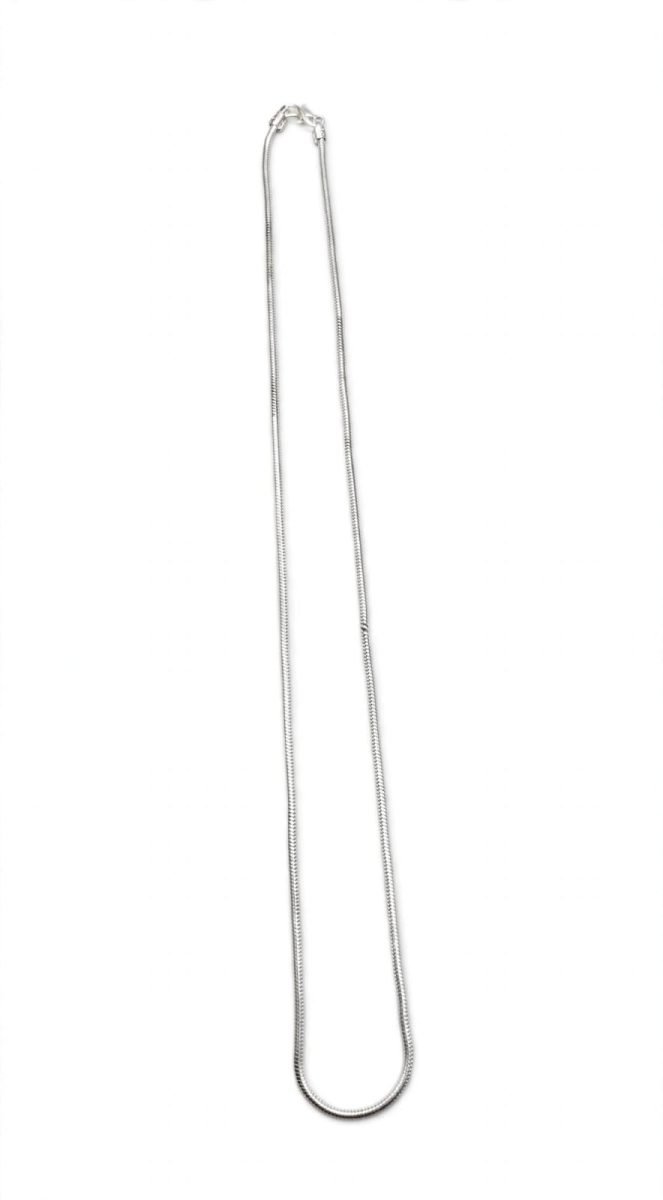 Sleek Silver Snake Chain Necklace